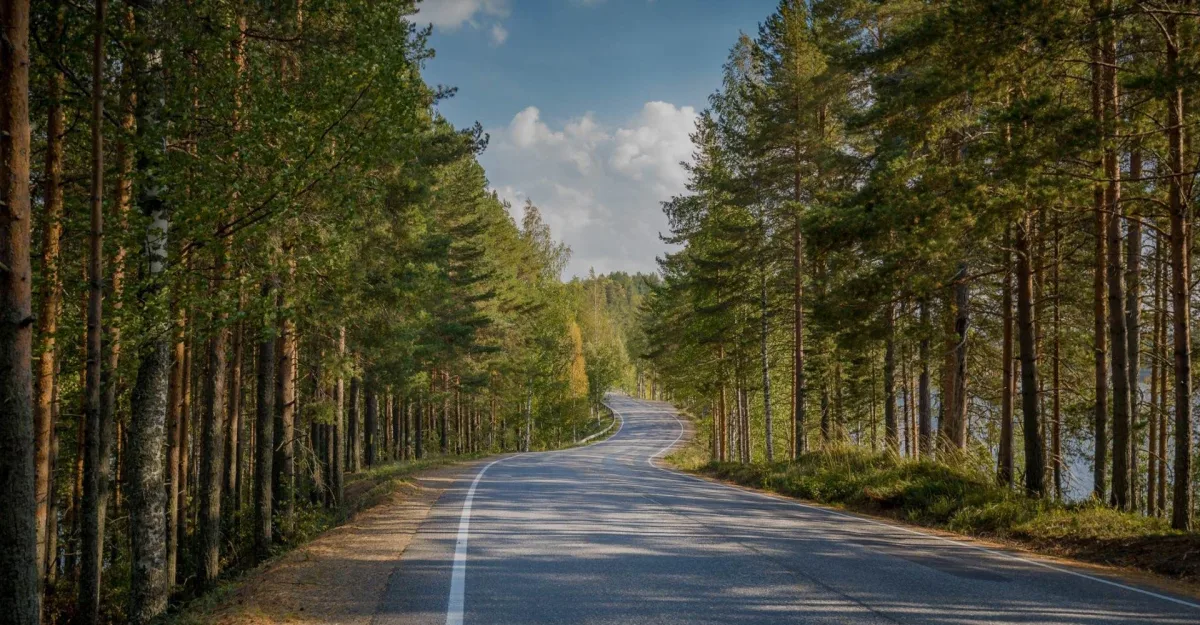Maantie mäntymetsän halki Mäntsälän seudulla